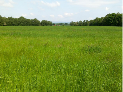 New Land Astley
