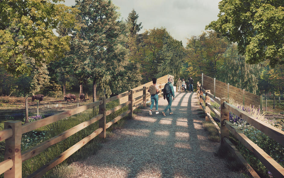 children walking down a track at Kent wildlife trust