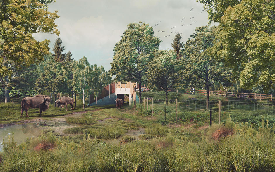 Kent wildlife trust