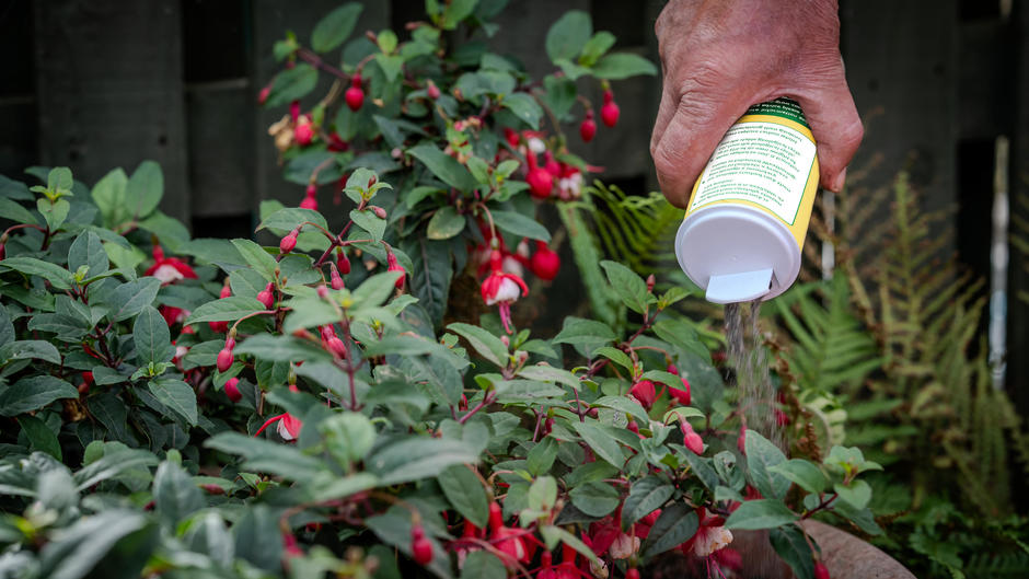 Pro-Grow Rockdust