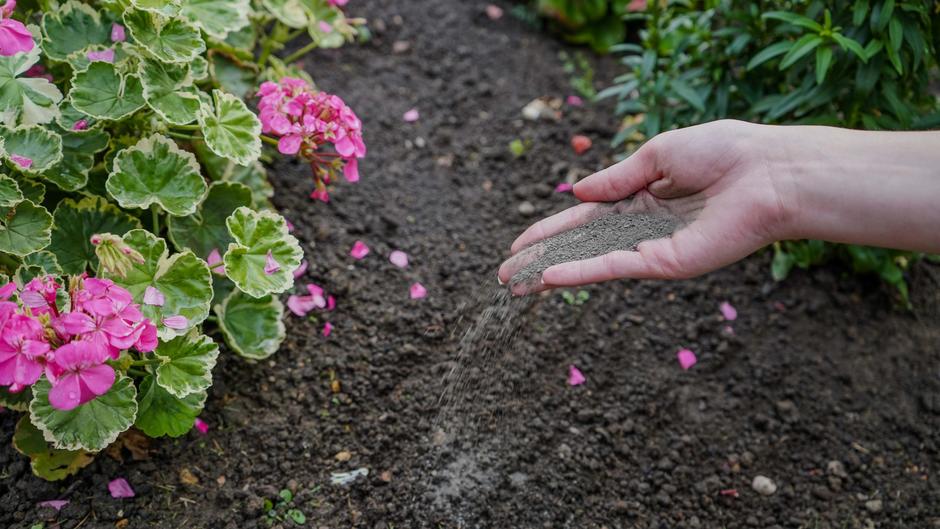 Hand spreading rockdust in soil
