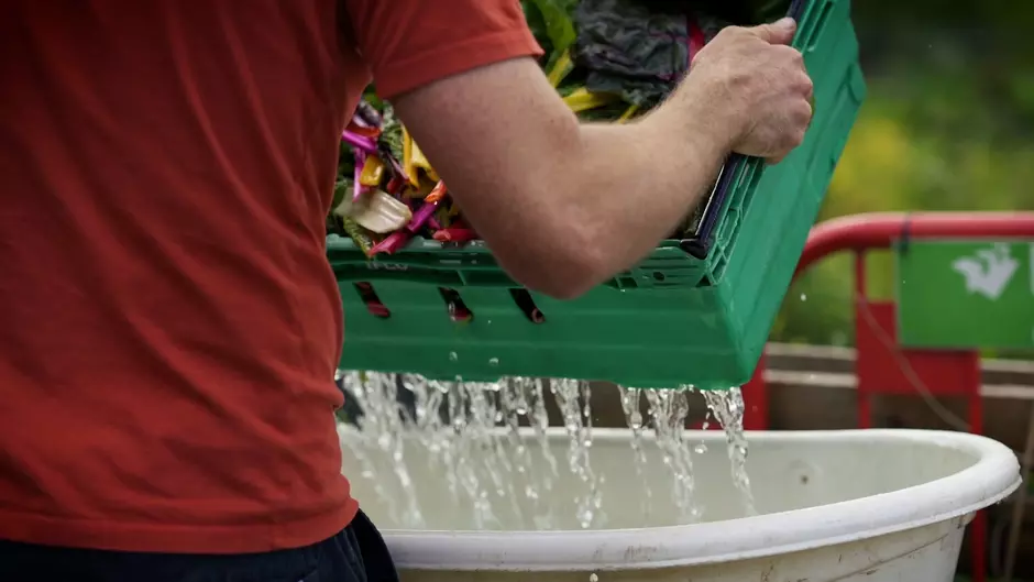 a person draining a crate of veg