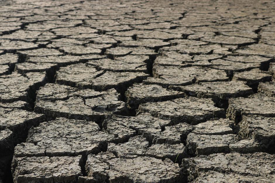 dry land