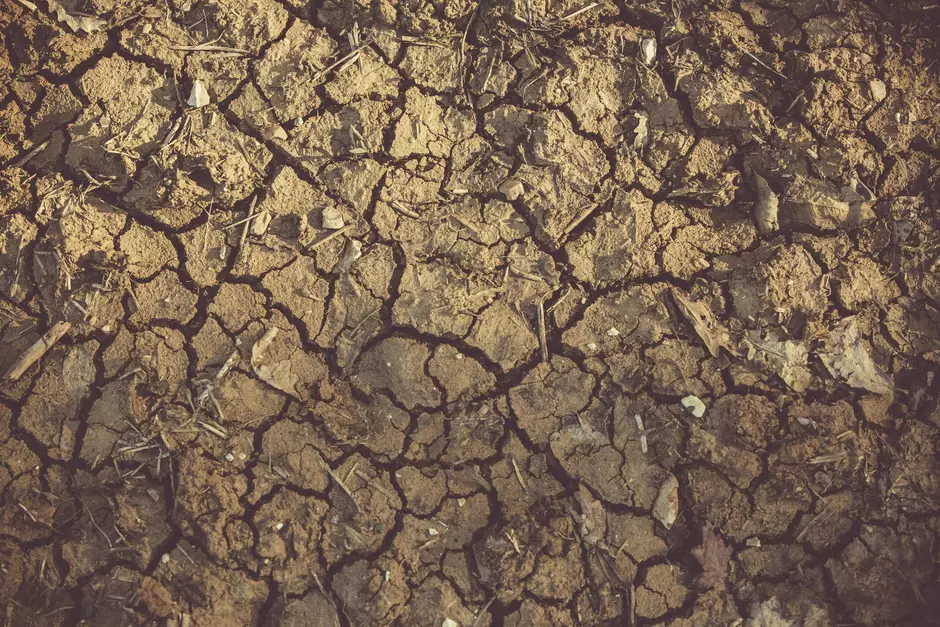 Dry land