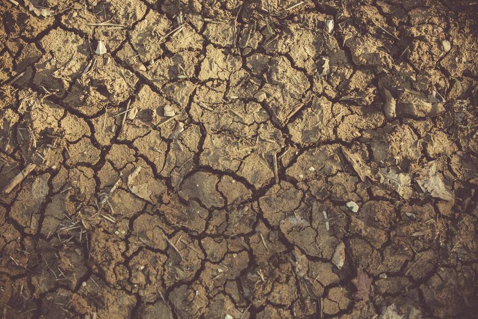 Dry land