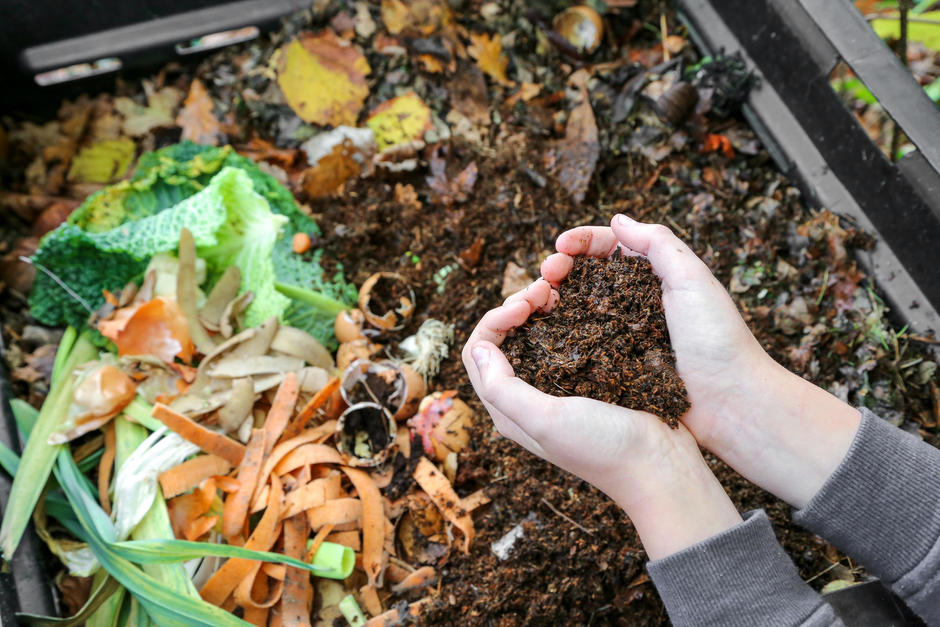 food waste recycling