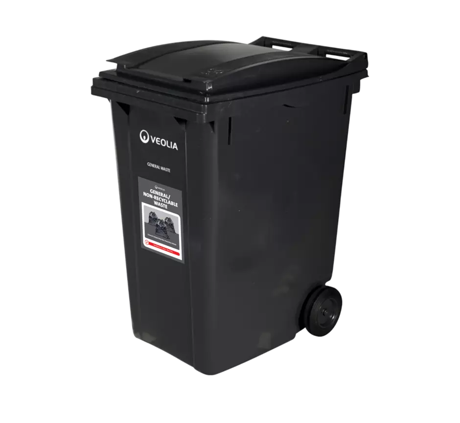 Veolia 360L Bin