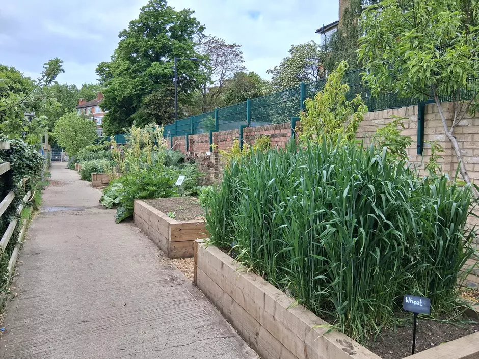 Southwark Surrey Docks Farm