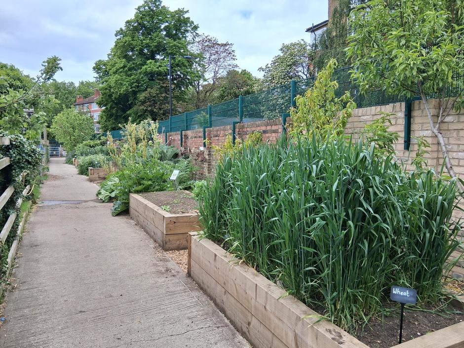Southwark Surrey Docks Farm