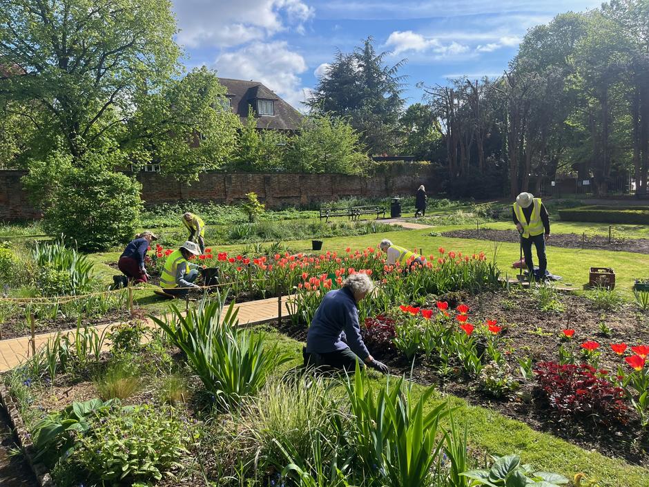 St Albans Civic Rose Garden