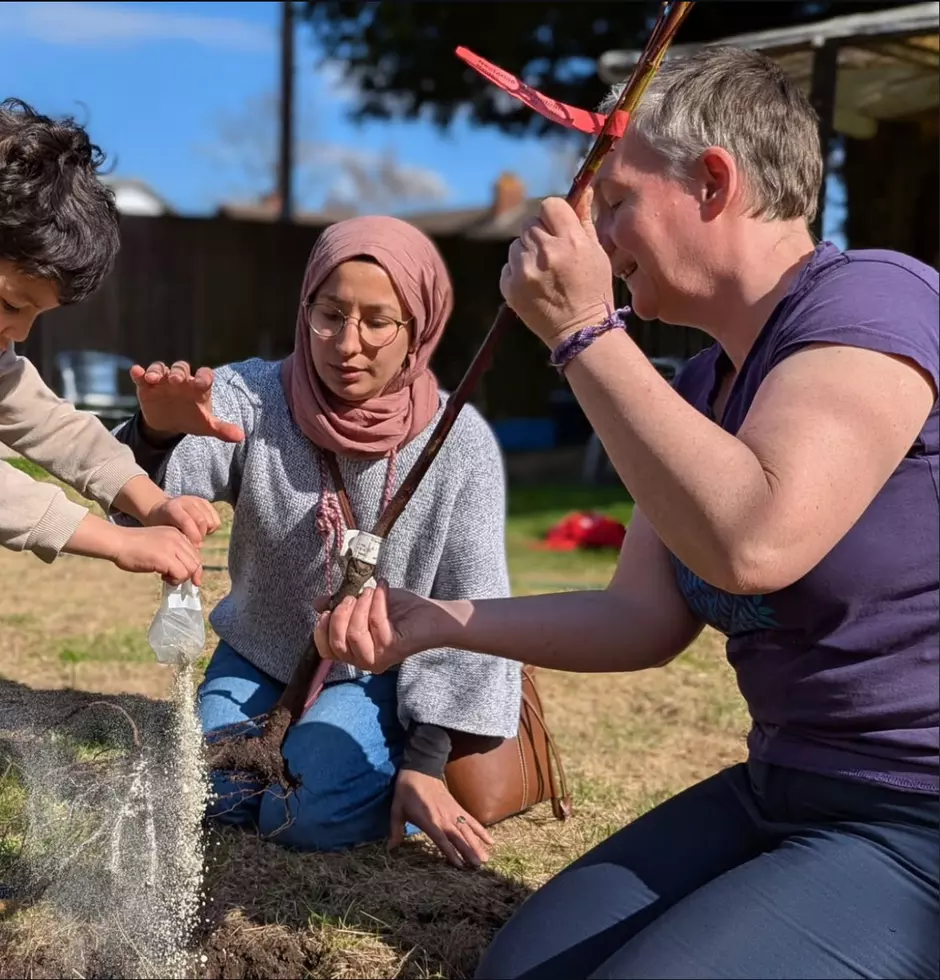 people plum tree planting 