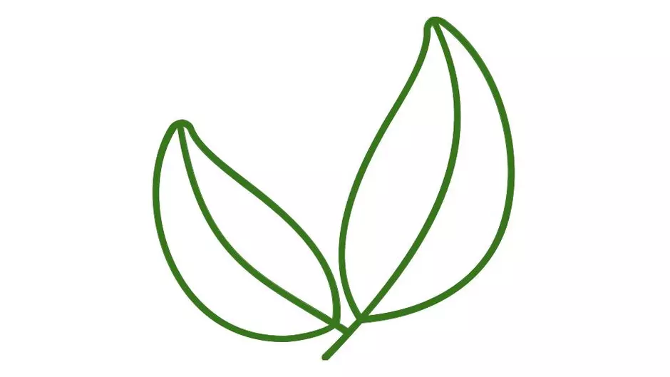 Plant icon