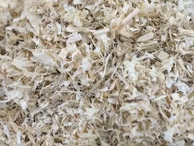 equestrian bedding 