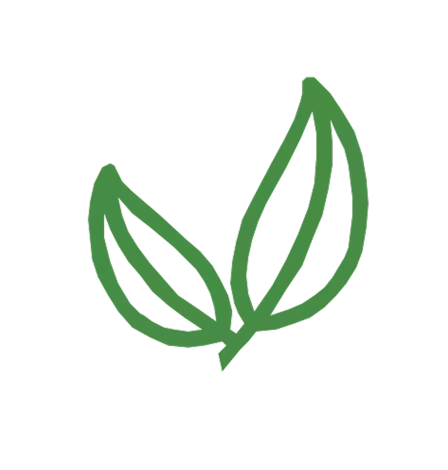Environment icon