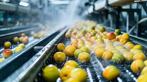 Apples on production line water cleaning