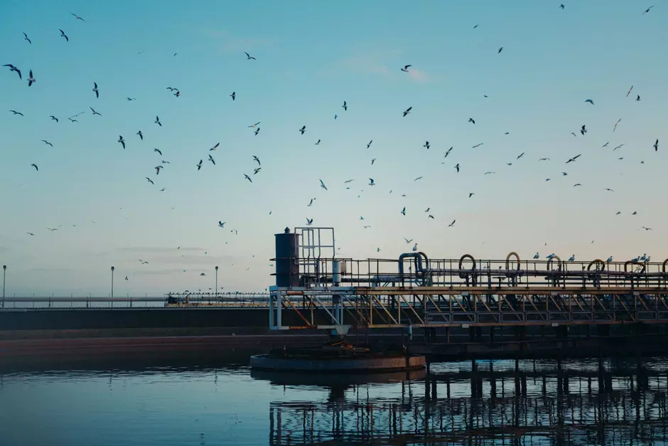 Veolia water treatment facility with birds flying past
