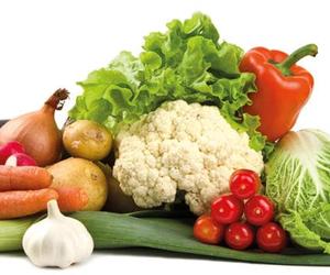 Veolia UK | Food waste collection header food waste