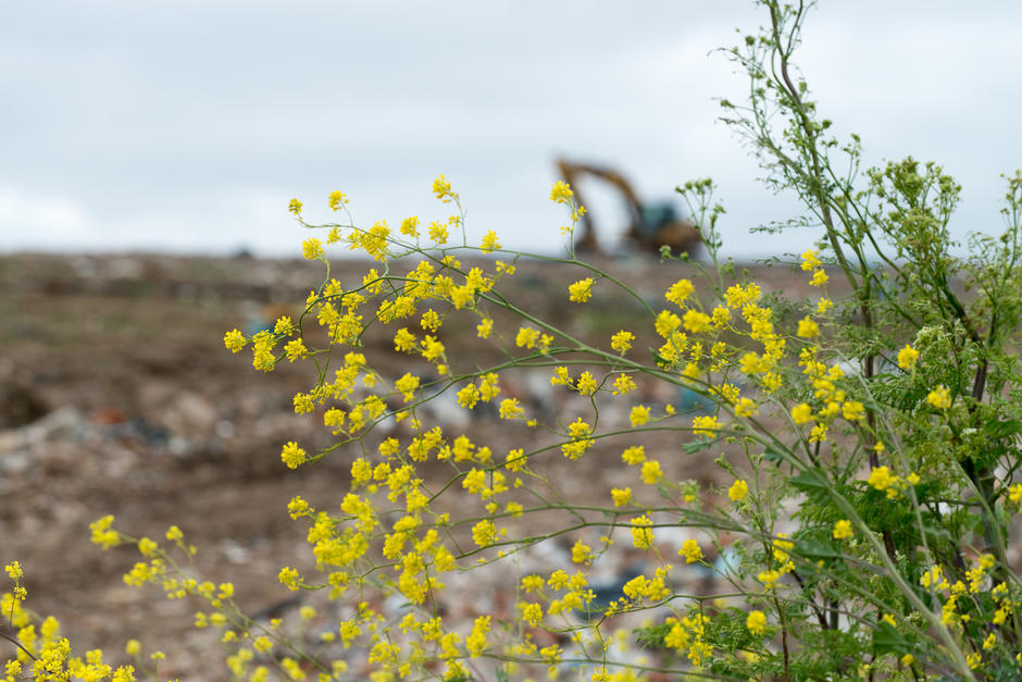 Veolia UK | Life left in the landfill