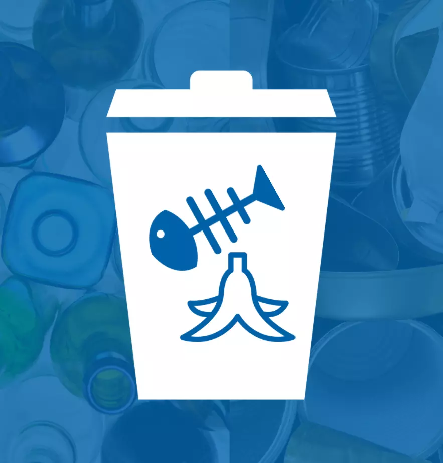 Food Waste Collection