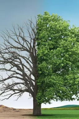 Inspire Event Slides