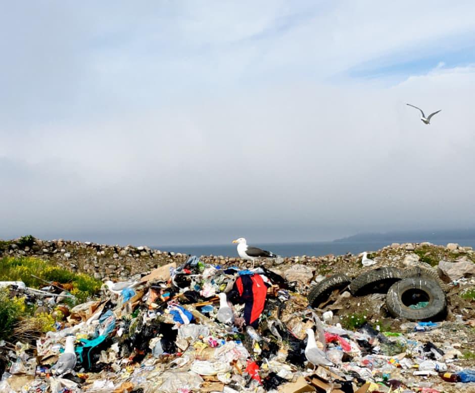 Landfill site with a considerable amount of pollutants