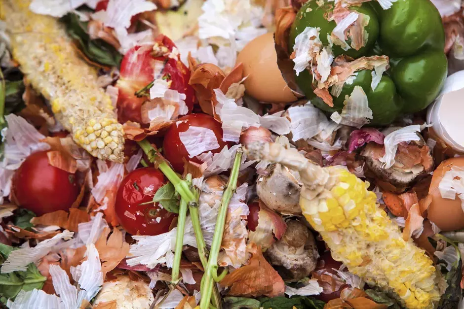 food waste