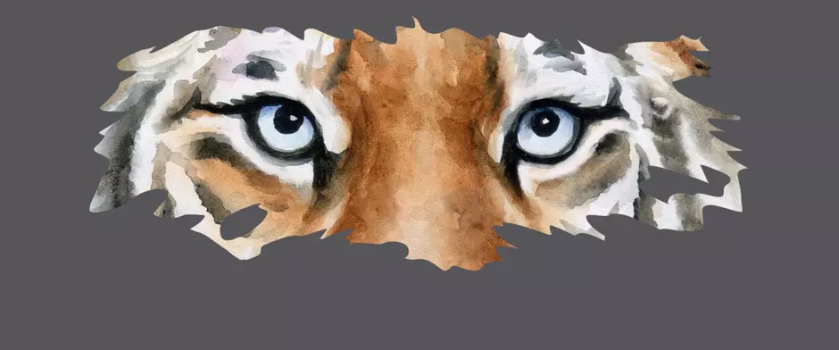 Veolia Recycled Tiger