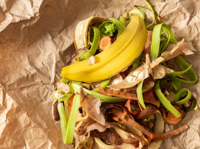 Food Waste