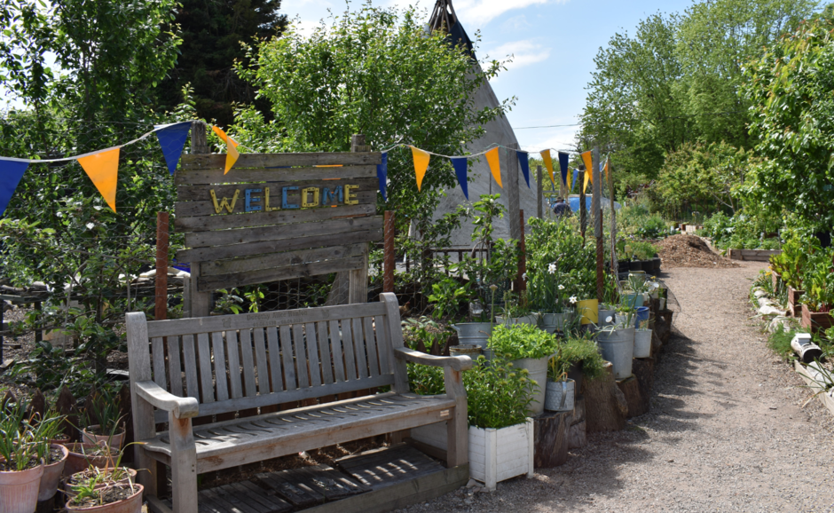 A bench sits at the entrance to a community garden decorated with bunting.