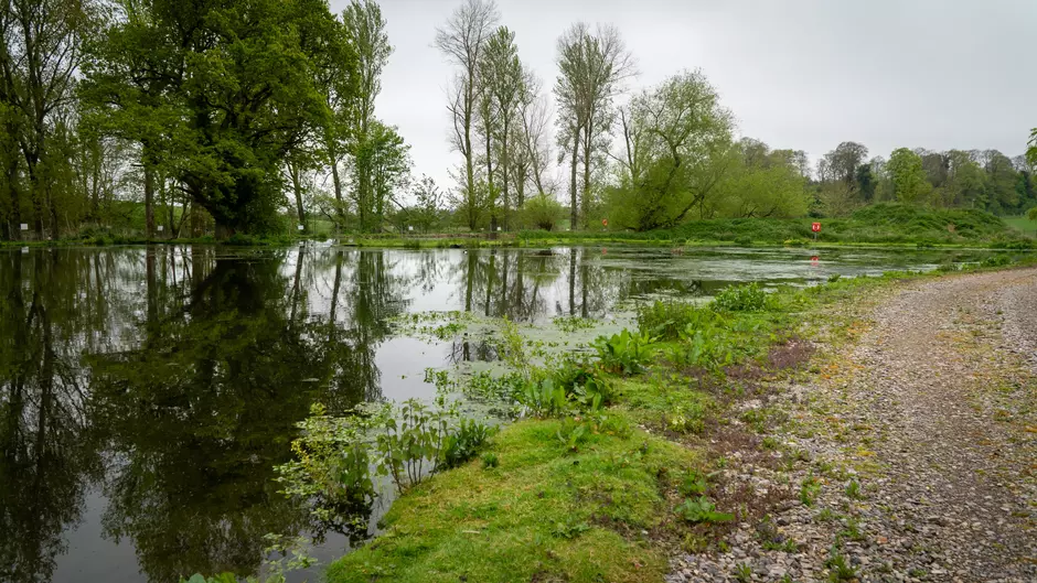 Lake with greenery