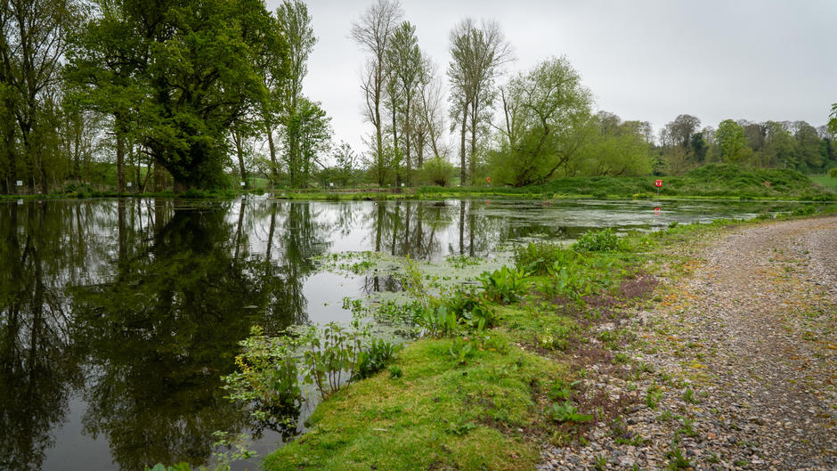 Lake with greenery