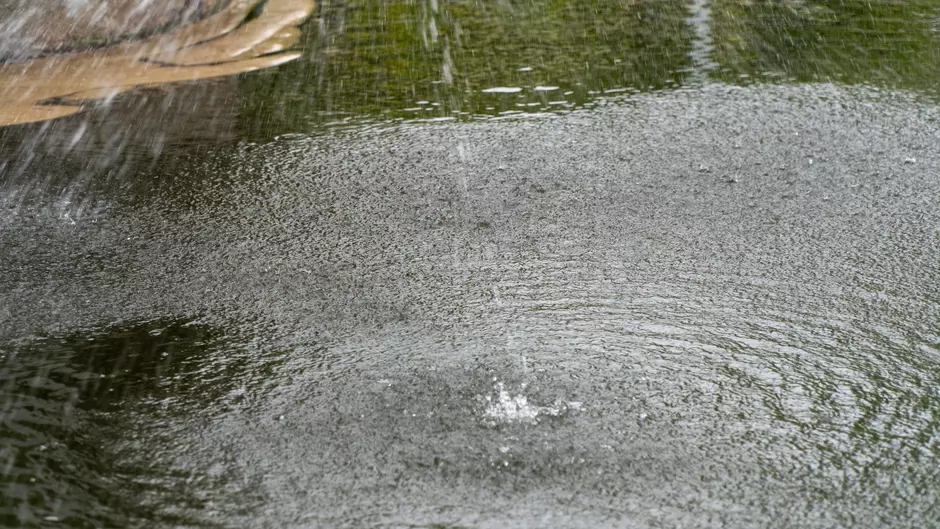 Water fountain