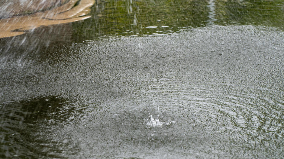 Water fountain