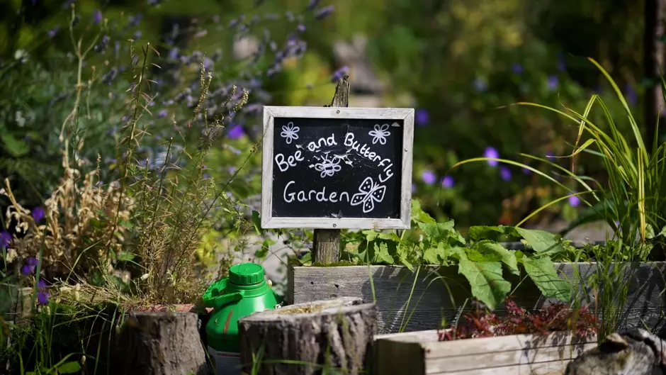 blackboard with 'bee and butterfly garden' written in chalk