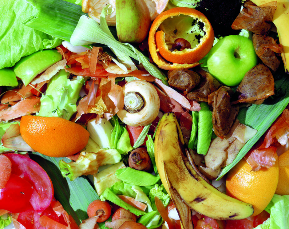 Food Waste