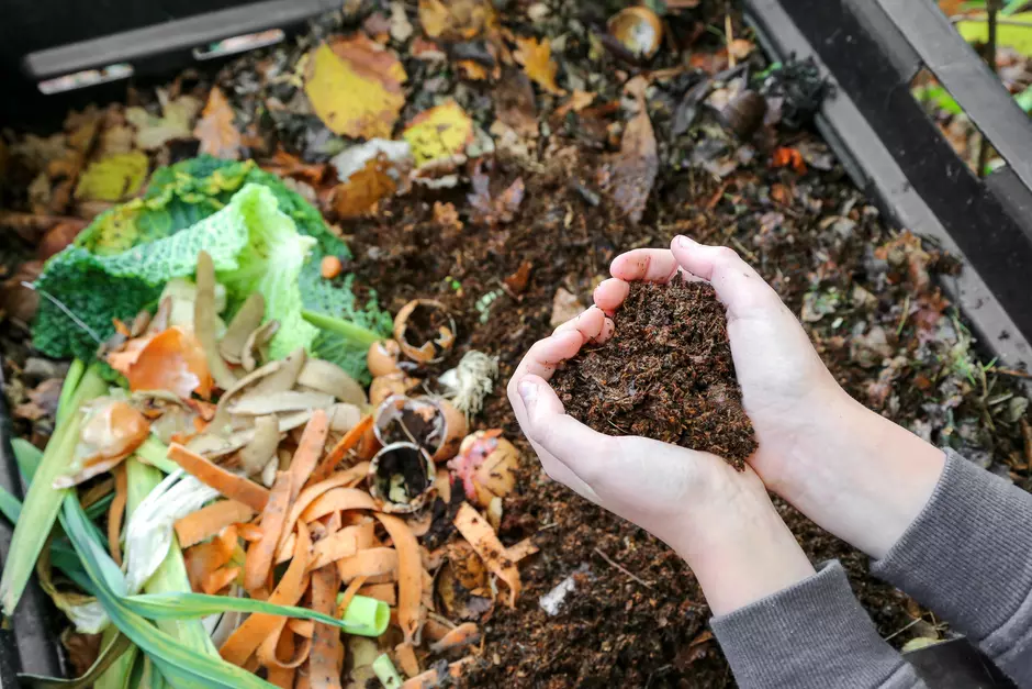 food waste recycling
