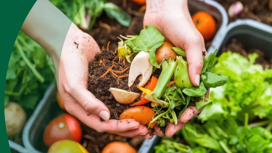 Food Waste Collection