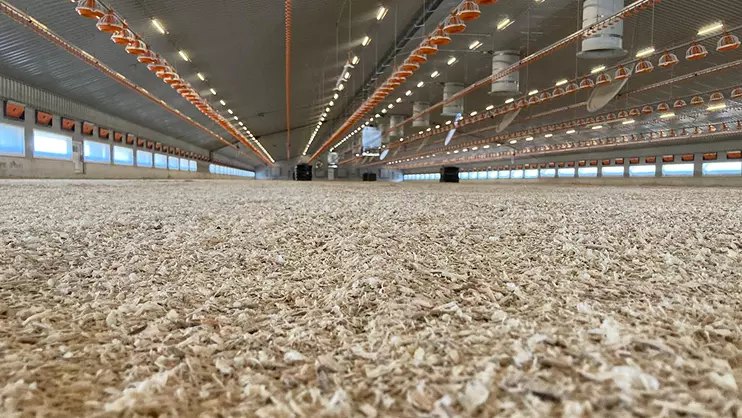 Poultry bedding