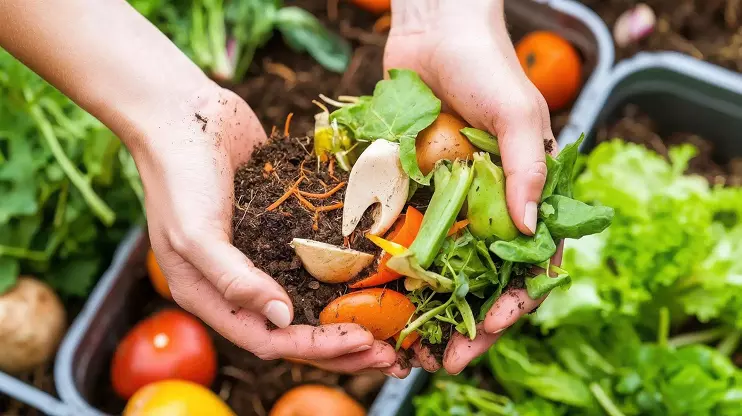 Hands holding food waste