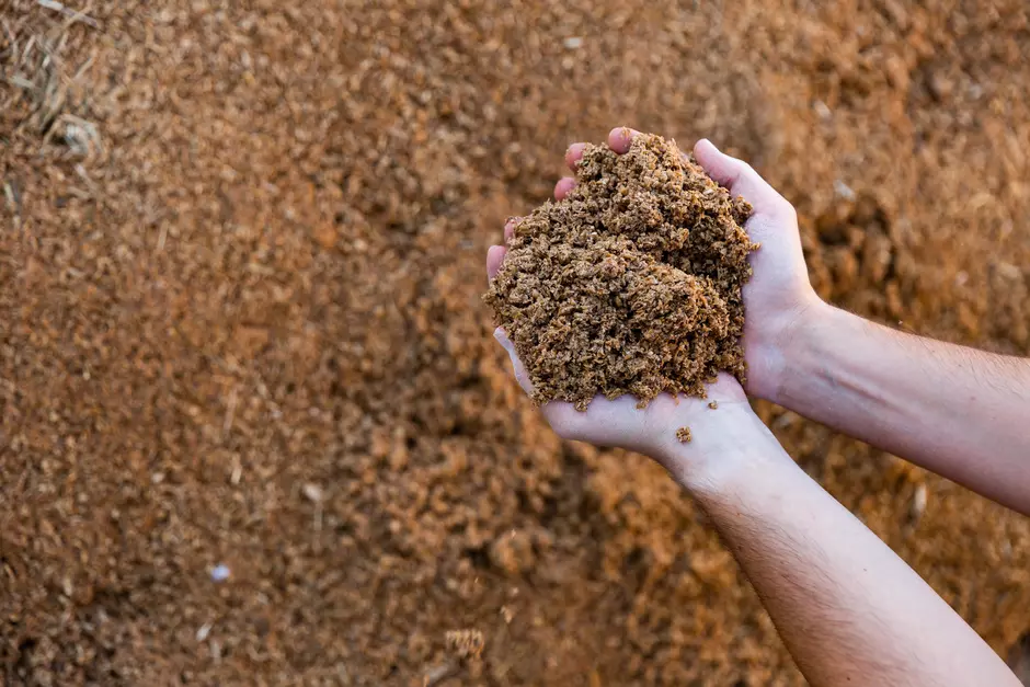 Used Materials After Brewing or Distilling Manufacturing