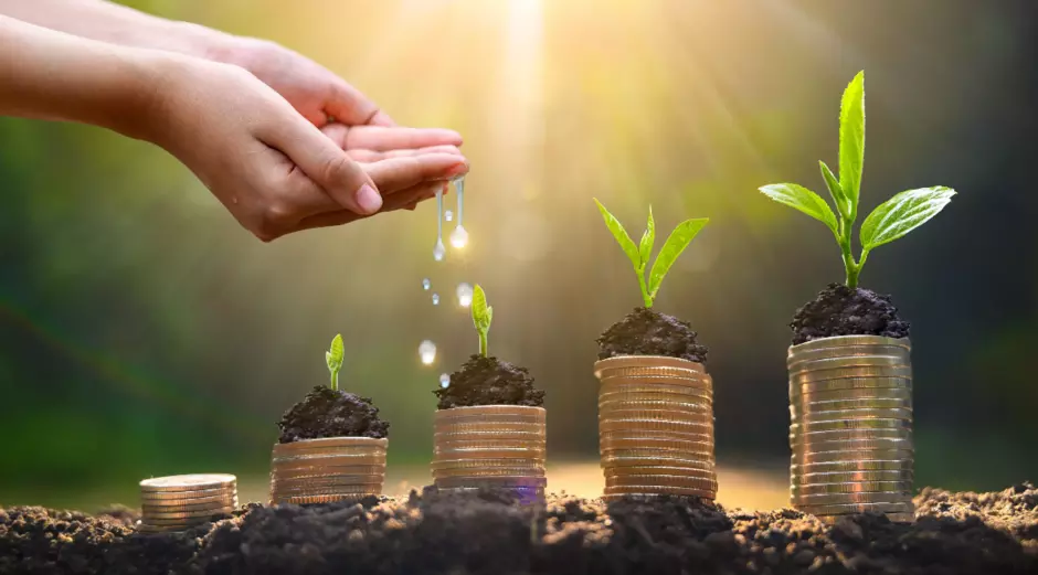 AdobeStock Debt Advice image