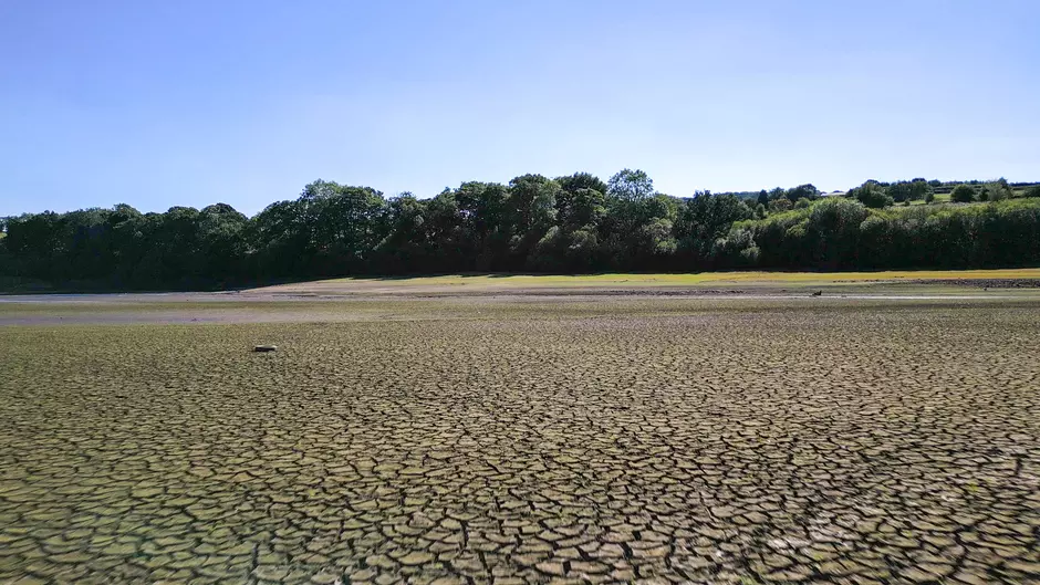 Drought