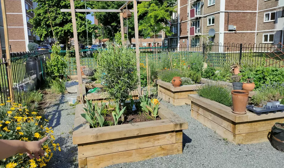 a photo of raised garden beds in front of an apartment complex. 