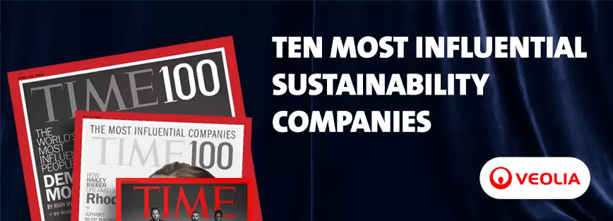 Graphic of top ten sustainable companies 