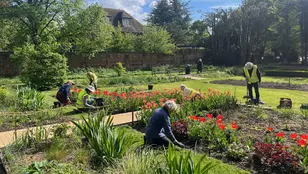 image of garden