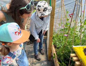 Photo of  the Let's See How it Grows project showing children and an adult looking at seedlings growing