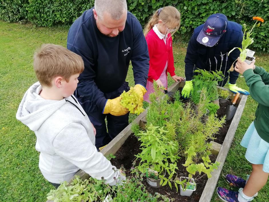 Image of a two adults showing school children how to plant herbs in the raised bed they are standing around. One of the children is holding a calendular plant up to look at it.